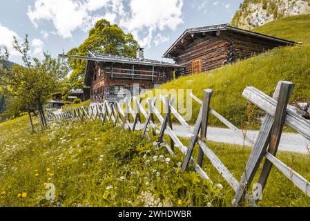 Allgäuer Bergbauerndorf im Frühjahr. Alte Berghütten im Hintergrund. Im Vordergrund eine blühende Bergwiese und ein Pfahlzaun. Bergbaudorf Gerstruben bei Oberstdorf vor dem Höfats. Allgäuer Alpen, Oberallgäu, Allgäu, Bayern, Süddeutschland, Deutschland Stockfoto