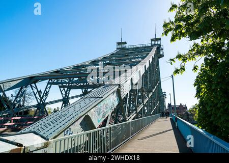 Dresden, Loschwitz-Brücke, „Blaues Wunder“, blühender Kastanienbaum Stockfoto