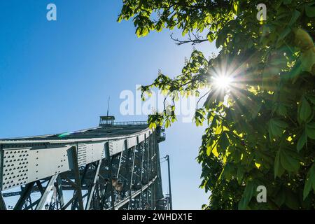 Dresden, Loschwitzbrücke, „Blaues Wunder“, blühender Kastanienbaum, Hintergrundbeleuchtung, Sonnenstrahlen Stockfoto