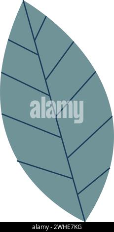 Isolierter farbiger natürlicher Blattsymbol Vektor Stock Vektor