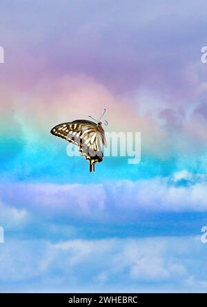 Wunderschöner Schwalbenschwanz-Schmetterling, der vor einem Regenbogenhimmel in den Himmel steigt. Stockfoto