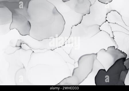 Makronaht abstrakter Graualkoholtinteschichten und Spritzer auf weiß. Flüssige Tinte, Vollformathintergrund in Schwarzweiß. Kunst für Design. Stockfoto