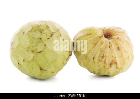 Zucker Apple oder Custard Apple Stockfoto