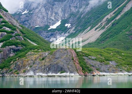 Tal im Endicott Arm mit niedrigem Nebel und klarer Gezeitenlinie Stockfoto