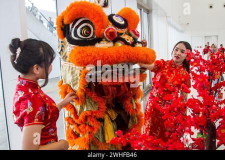 Bandung, West-Java, Indonesien. Februar 2024. Barongsai Lion Dance unterhält Passanten am Bahnhof Padalarang, Bandung, anlässlich der Feier des chinesischen Mondneujahrs des Drachen, das am 10. Februar 2024 fällt. (Kreditbild: © Algi Febri Sugita/ZUMA Press Wire) NUR REDAKTIONELLE VERWENDUNG! Nicht für kommerzielle ZWECKE! Stockfoto