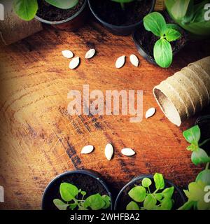 Hintergrund des Gartenkonzepts mit Keimling, Gießkanne und Töpfen. Stockfoto