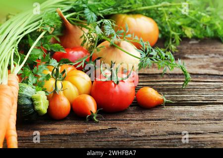 Gemüse und Kräuter auf Holzhintergrund. Stockfoto