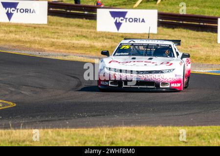 Sandown Park, Australien. Februar 2024. Elliot Barbour (#75) wird während der Qualifikation für die Trico Trans am Series 2024 am Samstag beim Shannon’s Speed Series Race Sandown in Runde 2 Credit: James Forrester/Alamy Live News Stockfoto
