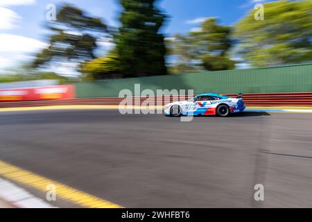 Sandown Park, Australien. Februar 2024. EDAN Thornburrow (#116) wird während der Qualifikation für die Trico Trans am Series 2024 am Samstag beim Shannon’s Speed Series Race Sandown in Runde 4 Credit: James Forrester/Alamy Live News Stockfoto