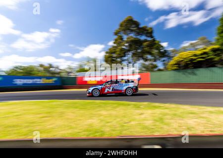 Sandown Park, Australien. Februar 2024. Tom Oliphant (#15) wird am Samstag beim Shannon’s Speed Series Race Sandown in Runde 4, während er sich für die Supercheap Auto TCR Australia-Serie qualifiziert Stockfoto