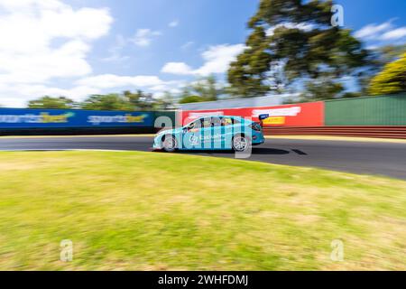 Sandown Park, Australien. Februar 2024. John Martin (#76) wird während der Qualifikation für die Supercheap Auto TCR Australia Serie am Samstag beim Shannon’s Speed Series Race Sandown in Runde 4. Credit: James Forrester/Alamy Live News Stockfoto