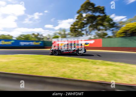 Sandown Park, Australien. Februar 2024. Clay Richards (#4) wird am Samstag beim Shannon’s Speed Series Race Sandown in Runde 4 während der Qualifikation für die Supercheap Auto TCR Australia-Serie. Credit: James Forrester/Alamy Live News Stockfoto