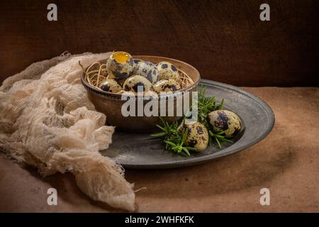 Frische Wachteleier Stockfoto