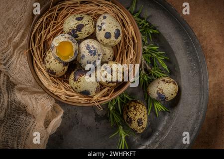 Frische Wachteleier Stockfoto