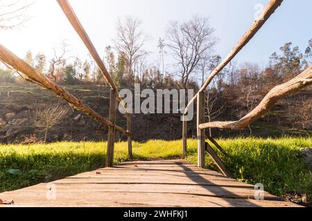 Fußgänger-Holzbrücke Stockfoto