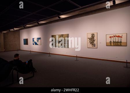 Gemäldegalerie, Museum für Moderne Kunst, Teheran. Iran Stockfoto