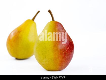 Birnenfrucht, gelbe Früchte mit roten Seiten auf hellem Hintergrund Stockfoto