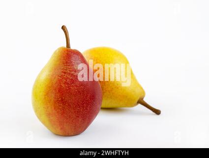 Birnenfrucht, gelbe Früchte mit roten Seiten auf hellem Hintergrund Stockfoto