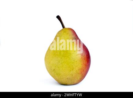 Birnenfrucht, gelbe Früchte mit roten Seiten auf hellem Hintergrund Stockfoto