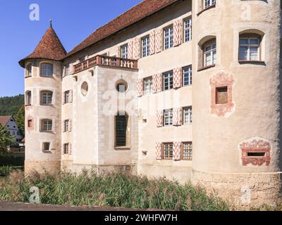 Gut erhaltene Wasserburg glatt, im Dorf Sulz am Neckar, Süddeutschland Stockfoto