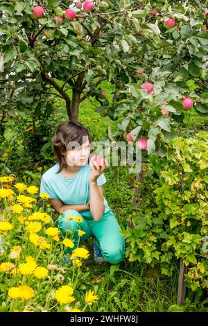 Entzückendes junges Mädchen, das Äpfel im Apfelbaumgarten pflückt Stockfoto