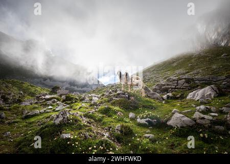 Zwei Schiffe in felsigen Bergen während des nebeligen Abends Stockfoto