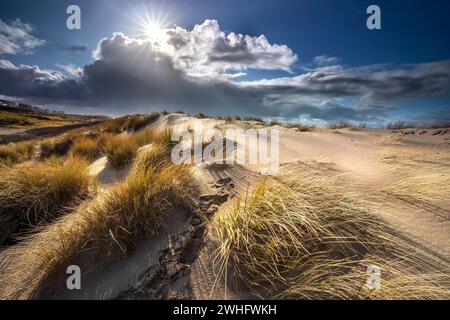 Sonnenlicht über Sanddünen im Sommer Stockfoto