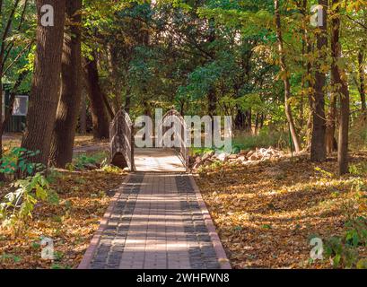 Straße in einem hellen Park, bedeckt mit gelben Blättern von Bäumen Stockfoto