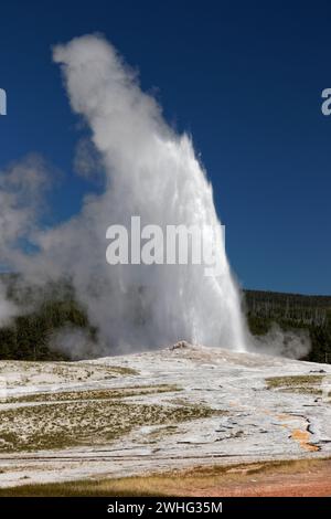 Eruption des Old Faithful Geysirs im Yellowstone National Park Stockfoto