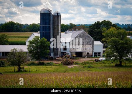 Ansicht von Amish, die dort Mais mit sechs Pferden und drei Männern ernten, wie es vor Jahren war Stockfoto