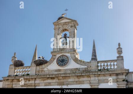 The Town Arch (Arco da Vila), in Faro mit nistenden Weißstörchen (Ciconia ciconia) in Downtown Faro an der Algarve Portugal, 6. Februar 2024 Stockfoto