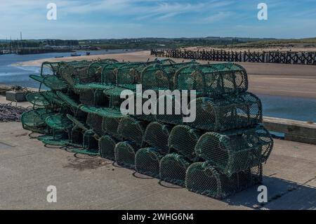 Hummer-Töpfe Stockfoto