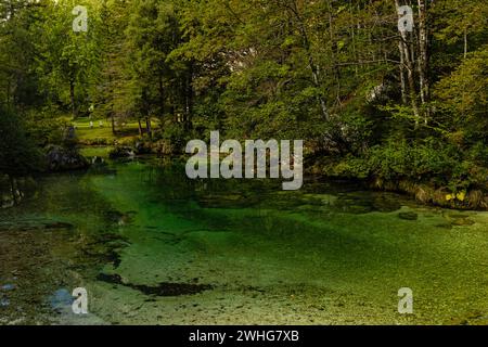 Der Fluss Sava bohinjka in der Nähe des Bohinj-Sees im Nationalpark Triglav in Slowenien Stockfoto