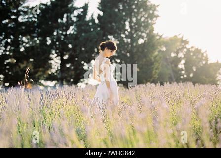 Braut in einem weißen Kleid steht mit dem Kopf nach unten auf einem Lavendelfeld. Seitenansicht Stockfoto