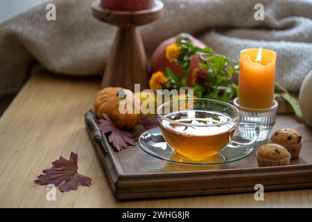 Gesunder heißer Tee gegen Kälte und Grippe auf einem Holztablett mit Keksen, Kerze und Herbstdekoration, ausgewählter Fokus Stockfoto