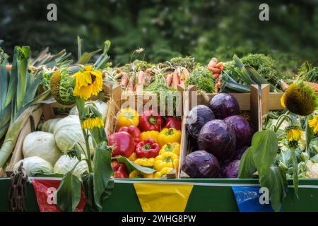 Frisches Bio-Gemüse wie Paprika und verschiedene Kohl auf einem Landmarkt, Konzept für Ernte, Landwirtschaft und Heilung Stockfoto