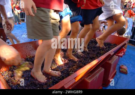 FRANCE ROUSSILLON VENDANGES BANYULS Stockfoto