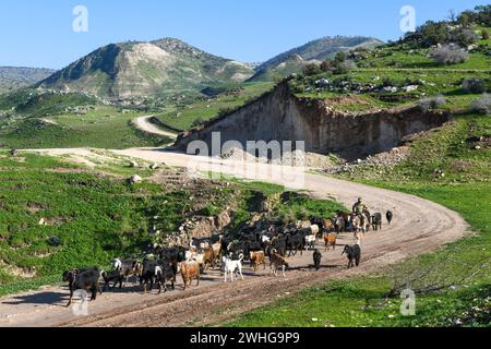 Blick auf die Golanhöhen und die Grenze zwischen Israel, Siria und Jordanien Stockfoto