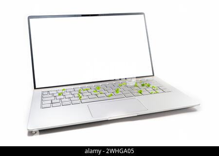 Notebook-Modell mit leerem Bildschirm und kleinen Setzlingen, die auf der Tastatur wachsen, Konzept für umweltfreundliches Business und umweltfreundliche Umwelt Stockfoto