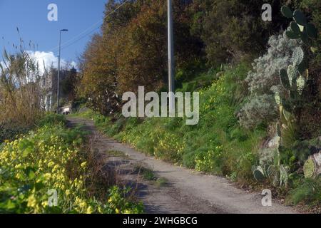 Landstraßen in Sizilien Stockfoto