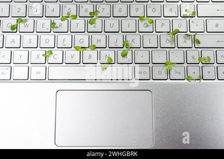 Laptop-Tastatur mit kleinen Setzlingen, die in den Lücken aufwachsen, umweltfreundliches Business-Konzept, Symbol für umweltfreundliche und nachhaltige Öko Stockfoto