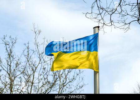 Flagge der Ukraine mit blauen und gelben Streifen, die zwischen Bäumen vor bewölktem Himmel wehen, Kopierraum, ausgewählter Fokus Stockfoto