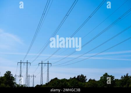 Hochspannungsleitungen, die über einen Wald führen Stockfoto