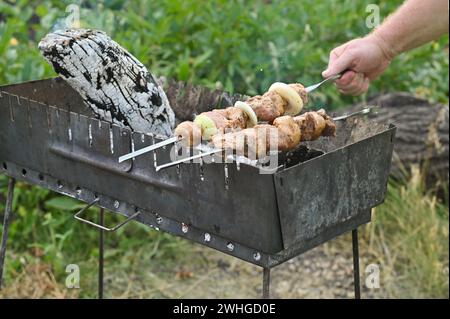 Fleischkebabs, Pilze und Zwiebeln auf Spießen werden auf Kohlen gekocht Stockfoto