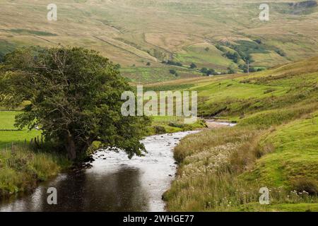 Der Fluss Eden in oberen Eden Valley, Cumbria, England Stockfoto