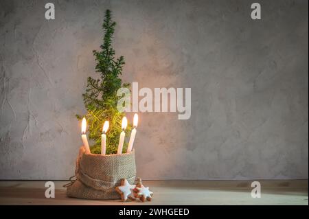 Alternativer zweiter Adventskranz, vier Kerzen mit Flamme auf einer kleinen Nadelpflanze als Weihnachtsbaumsymbol, große Kopie Spa Stockfoto