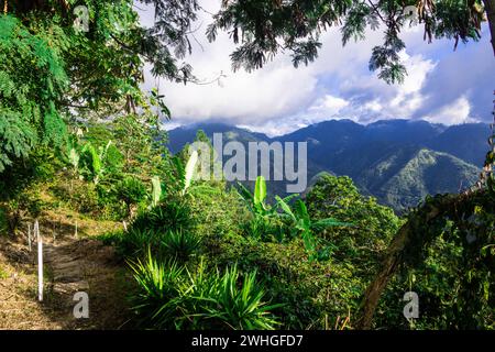 Die Blue Mountains in Jamaika, Karibik, Mittelamerika. Stockfoto