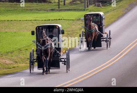 Blick auf zwei Amish Horse und Buggies, die auf einer Landstraße durch Farmland fahren Stockfoto