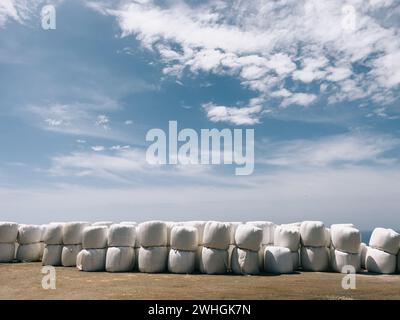 Gepackte Heuballen liegen in Reihen auf dem Boden gegen den Himmel Stockfoto