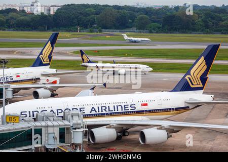 Singapore Airlines Flugzeuge Flughafen Changi in Singapur Changi, Singapur - 3. Februar 2023: Flugzeuge von Singapore Airlines auf dem Flughafen Changi SIN IN Singapur. *** Singapore Airlines Flugzeuge Changi Flughafen in Singapur Changi, Singapur 3. Februar 2023 Singapore Airlines Flugzeuge am Changi Flughafen SIN IN Singapur Stockfoto